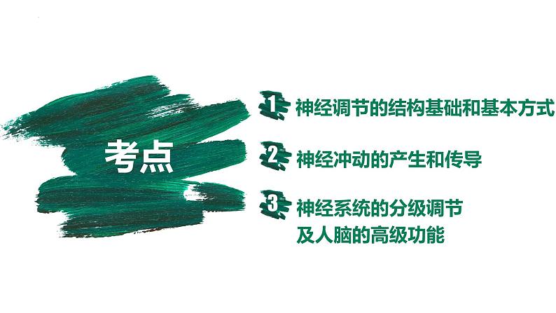 第23讲 神经调节-【备战一轮】最新高考生物一轮复习优质课件第4页