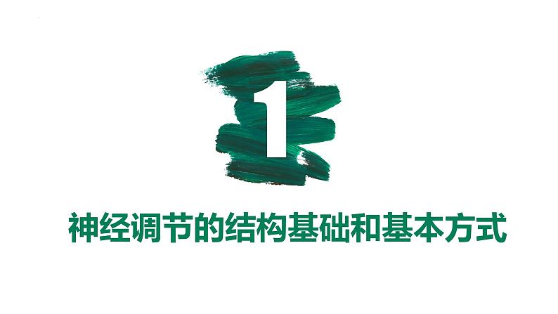 第23讲 神经调节-【备战一轮】最新高考生物一轮复习优质课件第5页