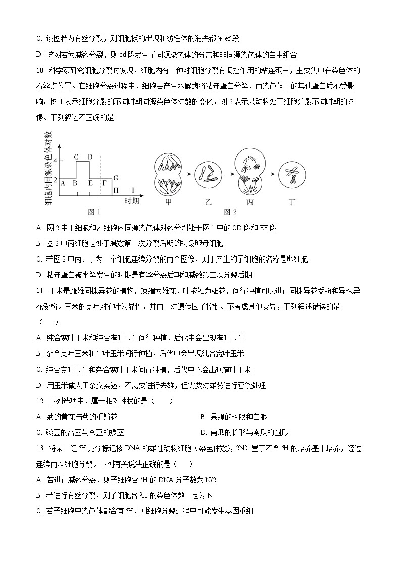 重庆市乌江新高考协作体2023-2024学年高一下学期5月期中生物试题(Word版附解析)03