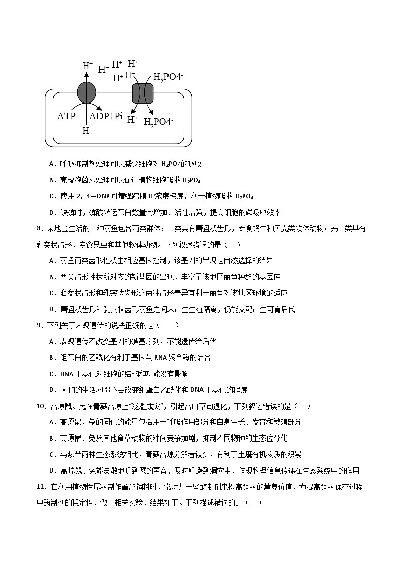 黄金卷01(考试版)-【赢在高考·黄金8卷】备战2024年高考生物模拟卷(浙江专用)第3页