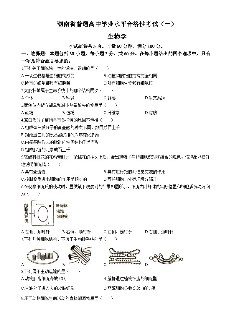 湖南省2024年普通高中学业水平合格性模拟考试生物仿真卷(一)试卷(Word版附答案)01