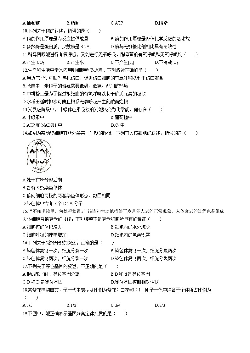 湖南省2024年普通高中学业水平合格性模拟考试生物仿真卷(一)试卷(Word版附答案)02