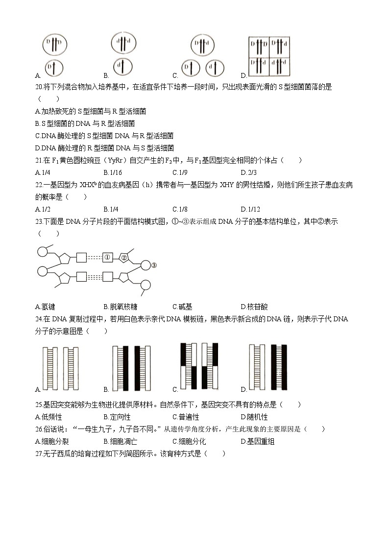湖南省2024年普通高中学业水平合格性模拟考试生物仿真卷(一)试卷(Word版附答案)03