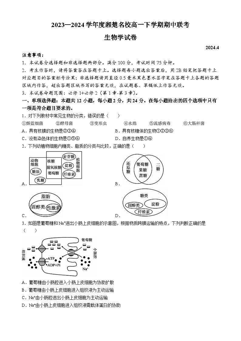 湖南省湘楚名校2023-2024学年高一下学期期中联考生物试卷(Word版附解析)01