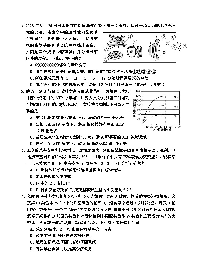 24 四模试题 8第2页