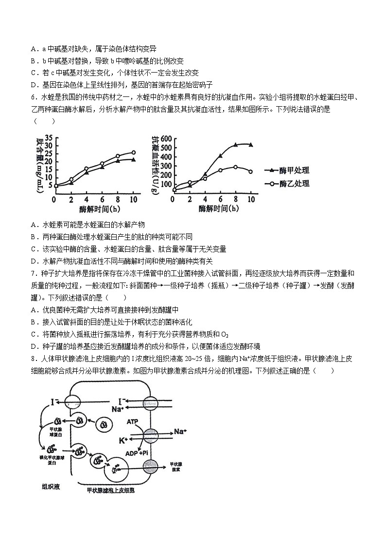 2024浙江省县域教研联盟高三下学期三模生物试题含答案02