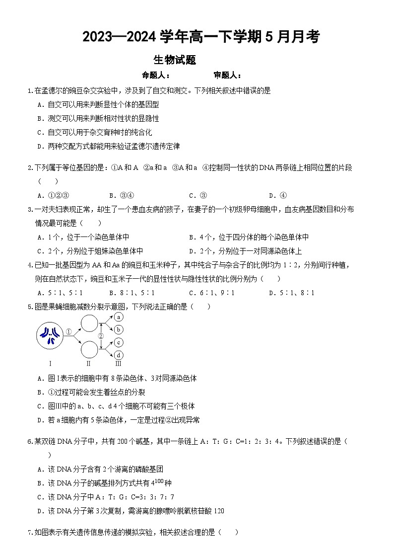 河南省鄭州市中牟縣第一高級(jí)中學(xué)2023-2024學(xué)年高一下學(xué)期5月月考生物試題第1頁(yè)