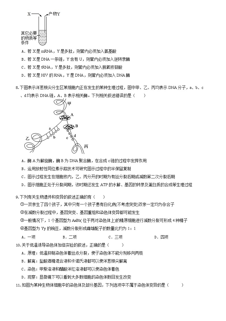 河南省鄭州市中牟縣第一高級(jí)中學(xué)2023-2024學(xué)年高一下學(xué)期5月月考生物試題第2頁(yè)
