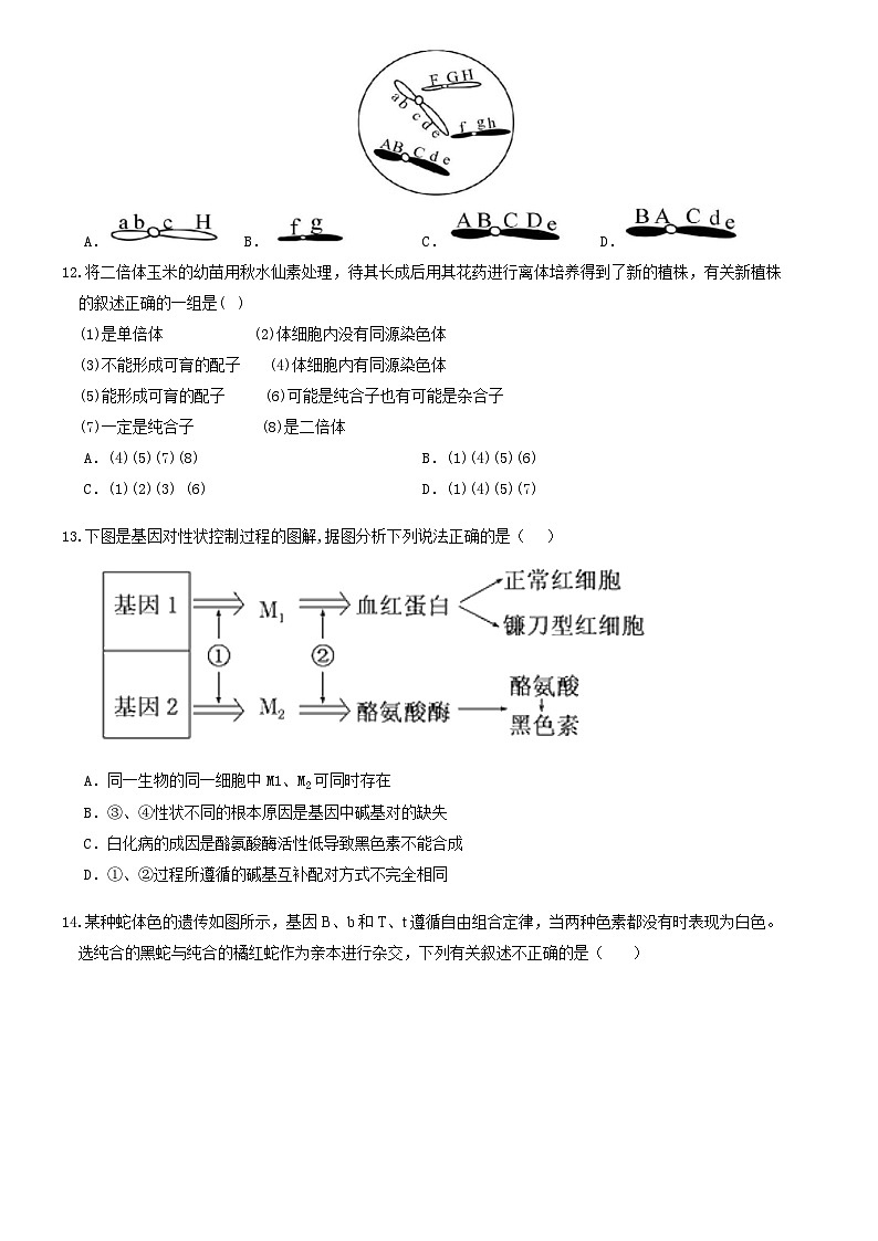 河南省鄭州市中牟縣第一高級(jí)中學(xué)2023-2024學(xué)年高一下學(xué)期5月月考生物試題第3頁(yè)