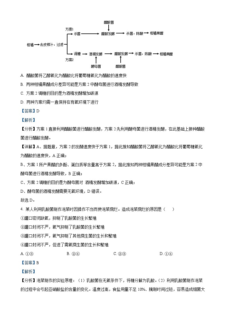 北京市第九中学2023-2024学年高二下学期5月期中考试生物试题(解析版)第3页