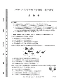 黑龙江省绥化市绥棱县第一中学2023-2024学年高一下学期5月期中生物试题