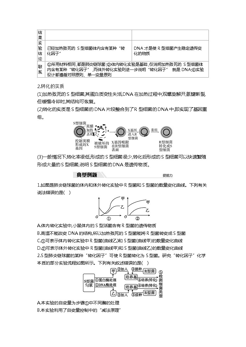 2025届高考 一轮复习 人教版 DNA是主要的遗传物质 学案03