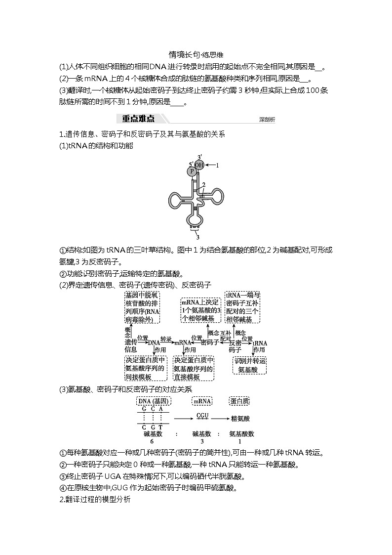 2025届高考 一轮复习 人教版 遗传信息的转录和翻译 学案03