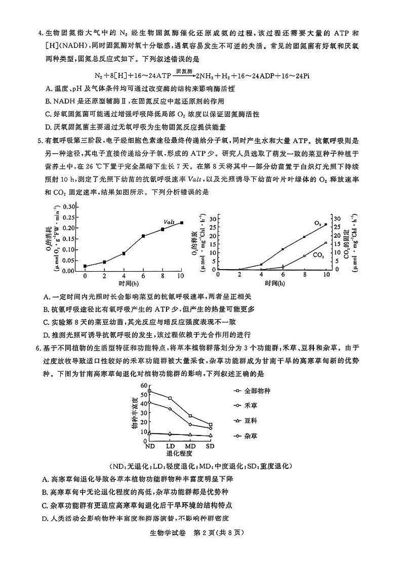 湖北省高中名校联盟2024届高三下学期第四次联合测评试题(三模)生物PDF版含解析第2页