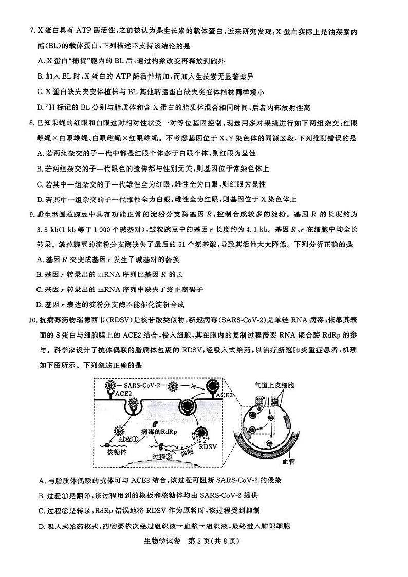 湖北省高中名校联盟2024届高三下学期第四次联合测评试题(三模)生物PDF版含解析第3页