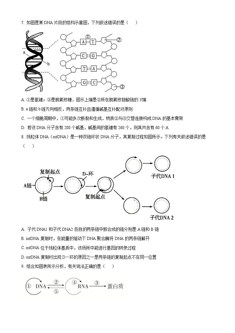 湖南省株洲市芦淞区第一中学2023-2024学年高一下学期期中生物试卷(解析版+原卷版)03