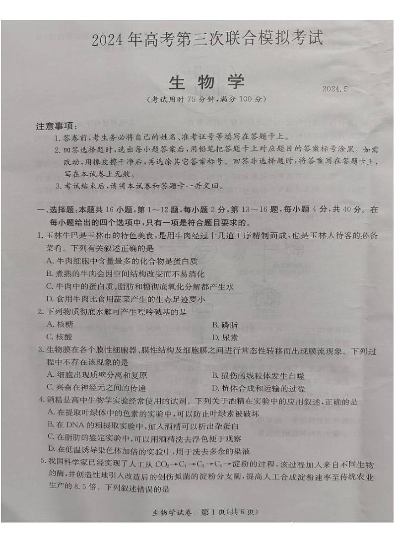 桂林2024年5月高三三模生物试卷第1页