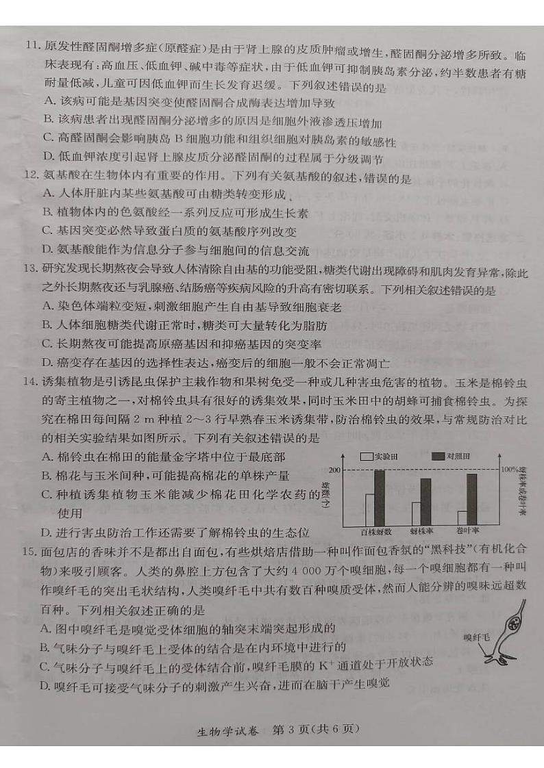 桂林2024年5月高三三模生物试卷第3页