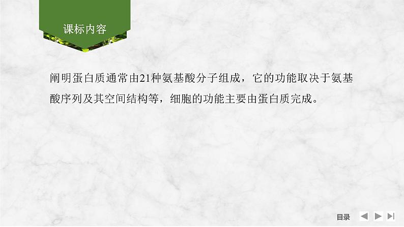 2025届高考 一轮复习 苏教版 蛋白质是生命活动的主要承担者 课件(江苏版)第2页