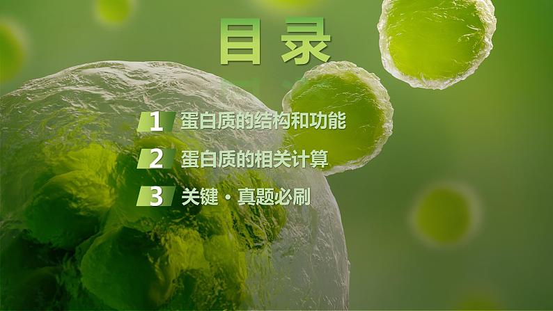 2025届高考 一轮复习 苏教版 蛋白质是生命活动的主要承担者 课件(江苏版)第3页