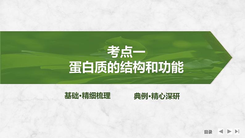 2025届高考 一轮复习 苏教版 蛋白质是生命活动的主要承担者 课件(江苏版)第4页
