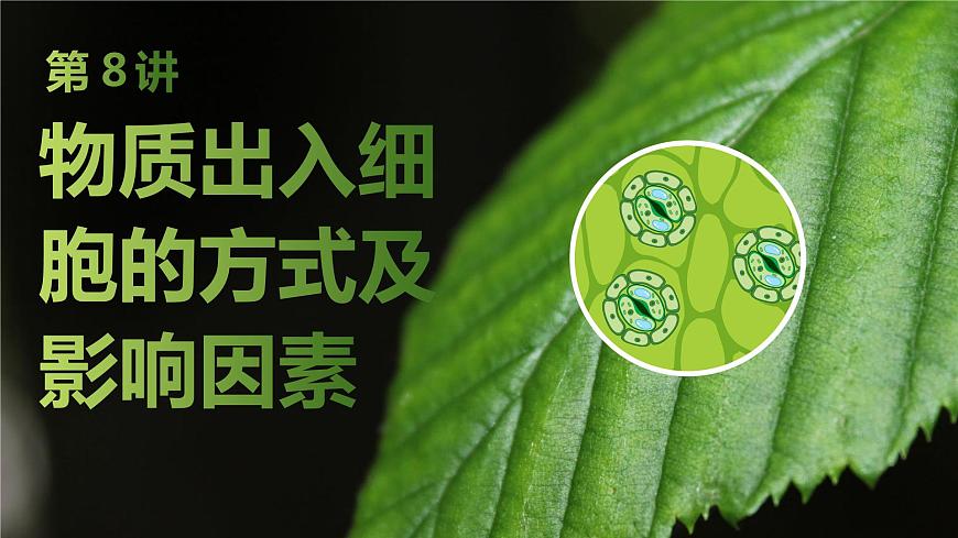 2025屆高考 一輪復(fù)習(xí) 蘇教版  物質(zhì)出入細(xì)胞的方式及影響因素 課件(江蘇版)第1頁