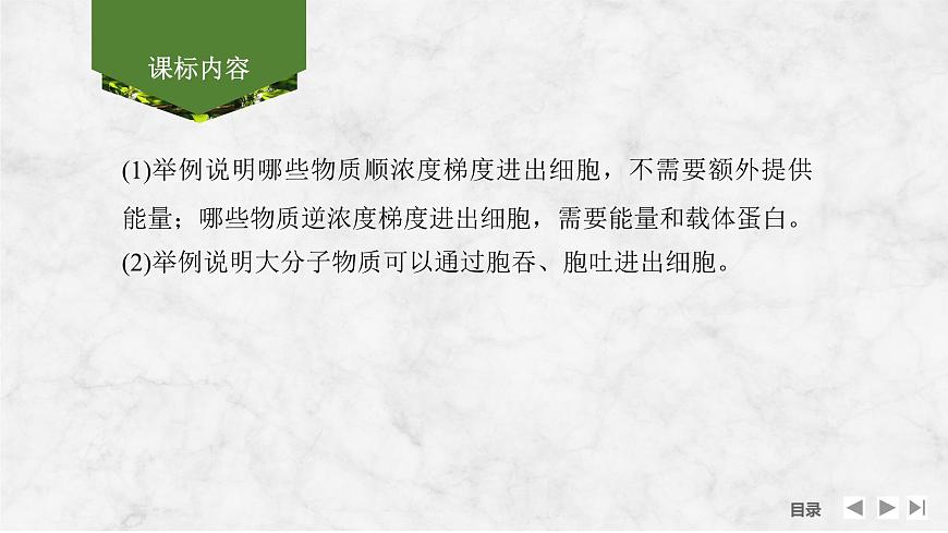 2025屆高考 一輪復(fù)習(xí) 蘇教版  物質(zhì)出入細(xì)胞的方式及影響因素 課件(江蘇版)第2頁