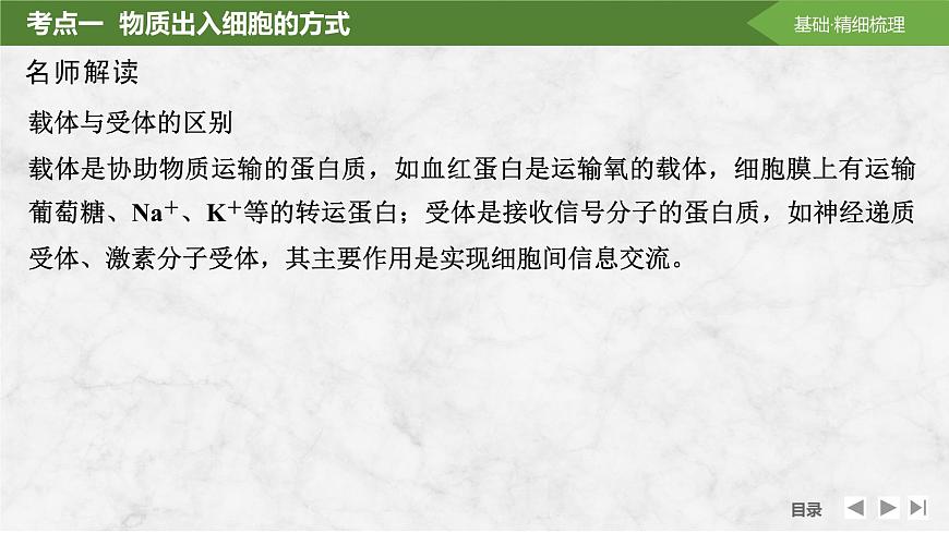 2025屆高考 一輪復(fù)習(xí) 蘇教版  物質(zhì)出入細(xì)胞的方式及影響因素 課件(江蘇版)第8頁