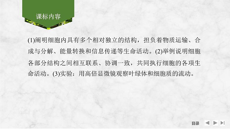 2025届高考 一轮复习 苏教版 细胞器之间的分工合作 课件(江苏版)02