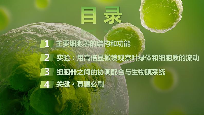 2025届高考 一轮复习 苏教版 细胞器之间的分工合作 课件(江苏版)03