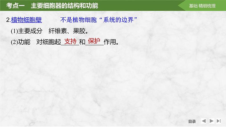 2025届高考 一轮复习 苏教版 细胞器之间的分工合作 课件(江苏版)06