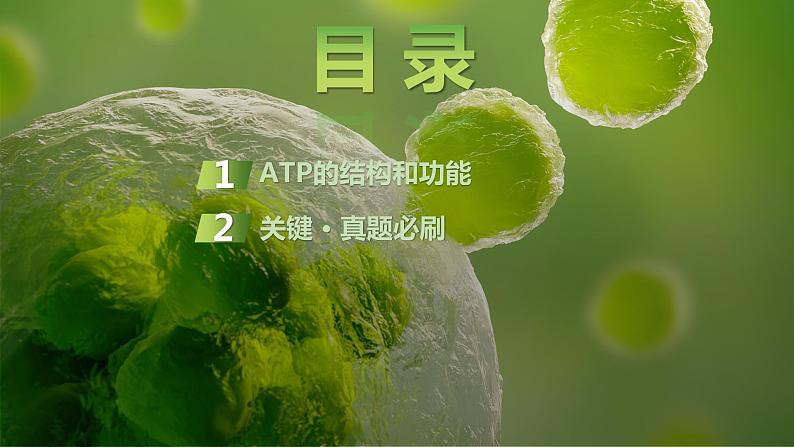 2025届高考 一轮复习 苏教版 细胞的能量“货币”ATP 课件(江苏版) (1)第3页