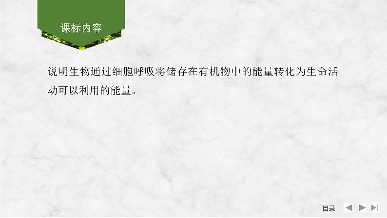 2025届高考 一轮复习 苏教版 细胞的能量“货币”ATP 课件(江苏版) (2)第2页