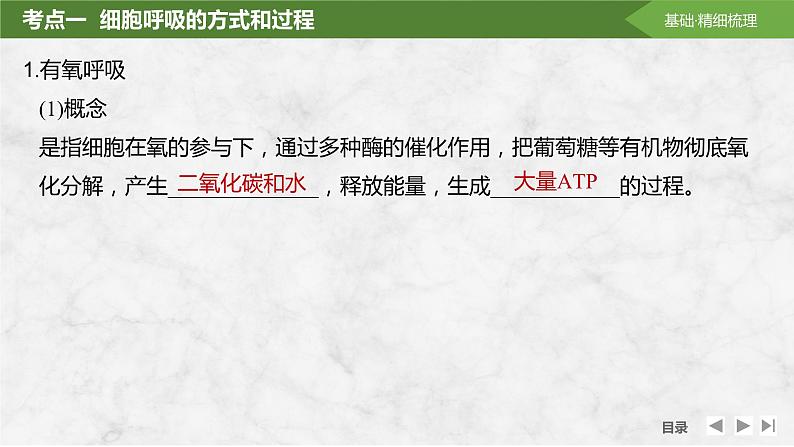 2025届高考 一轮复习 苏教版 细胞的能量“货币”ATP 课件(江苏版) (2)第5页