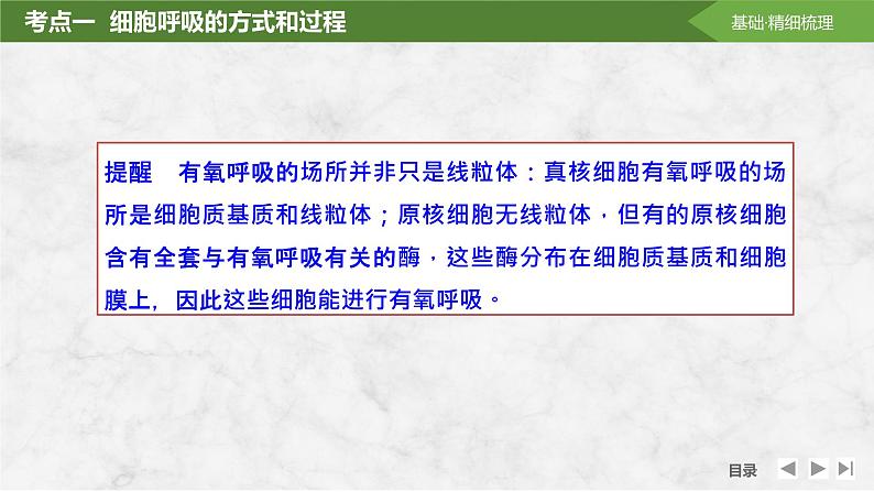 2025届高考 一轮复习 苏教版 细胞的能量“货币”ATP 课件(江苏版) (2)第7页
