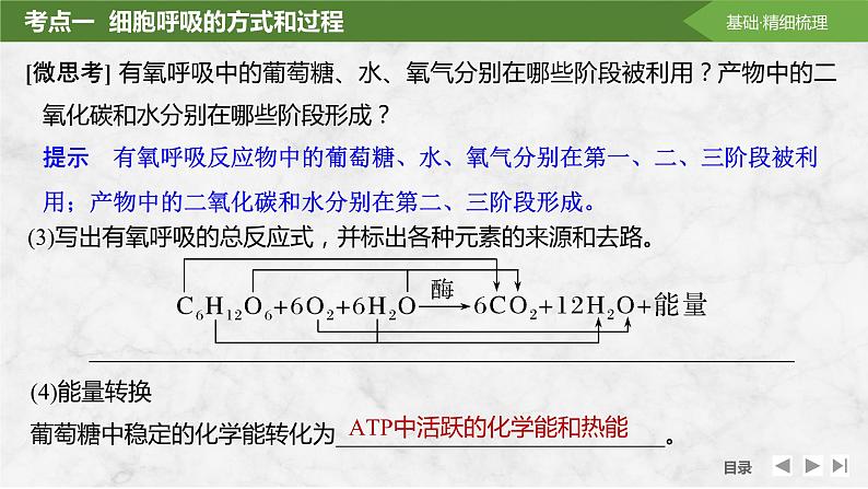 2025届高考 一轮复习 苏教版 细胞的能量“货币”ATP 课件(江苏版) (2)第8页