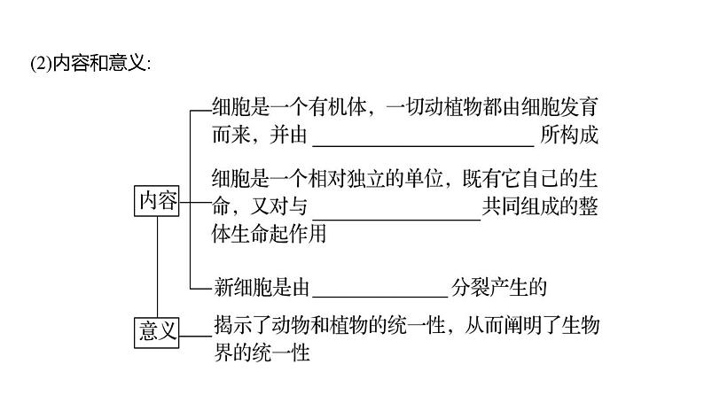 2025届高考 一轮复习 人教版 走近细胞 课件(多选版)第5页