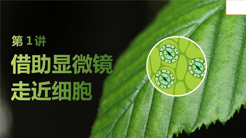 2025届高考 一轮复习 苏教版 借助显微镜走近细胞 课件(江苏版)第1页