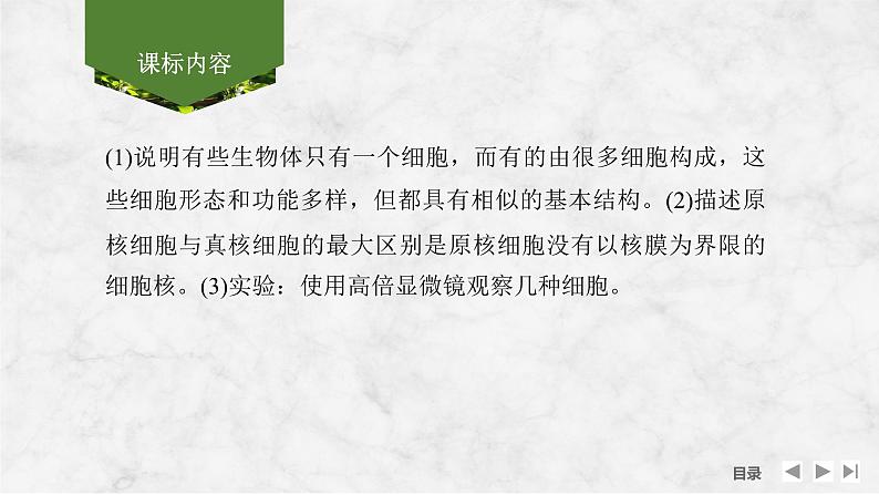2025届高考 一轮复习 苏教版 借助显微镜走近细胞 课件(江苏版)第2页