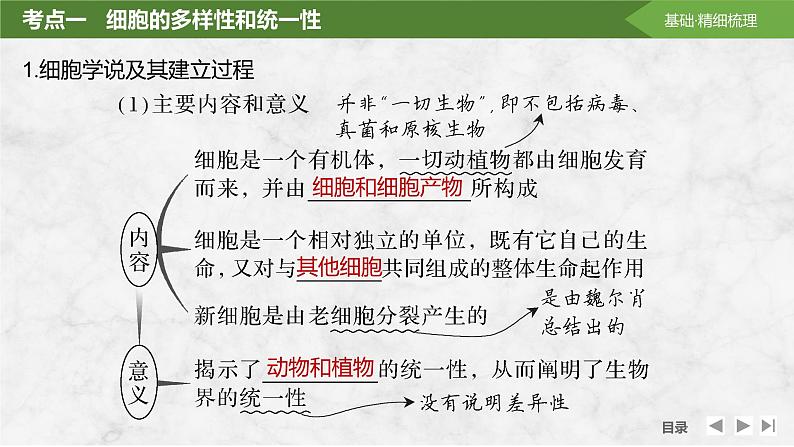 2025届高考 一轮复习 苏教版 借助显微镜走近细胞 课件(江苏版)第5页
