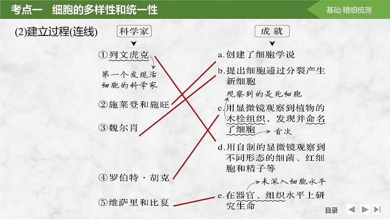 2025届高考 一轮复习 苏教版 借助显微镜走近细胞 课件(江苏版)第6页