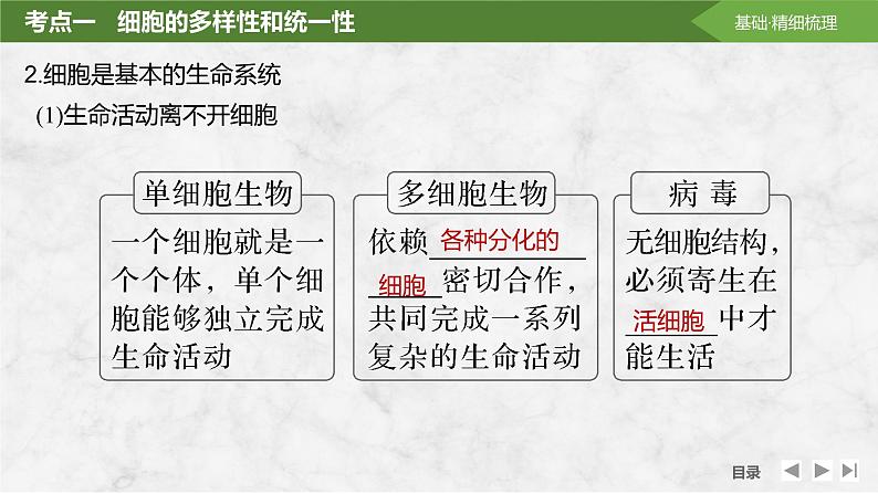 2025届高考 一轮复习 苏教版 借助显微镜走近细胞 课件(江苏版)第8页