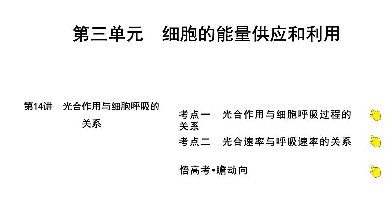 2025届高考 一轮复习 人教版光合作用与细胞呼吸的关系 课件(多选版)第1页