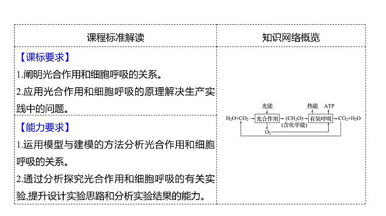 2025届高考 一轮复习 人教版光合作用与细胞呼吸的关系 课件(多选版)第2页