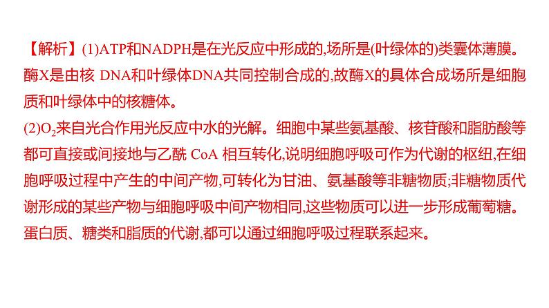 2025届高考 一轮复习 人教版光合作用与细胞呼吸的关系 课件(多选版)第6页