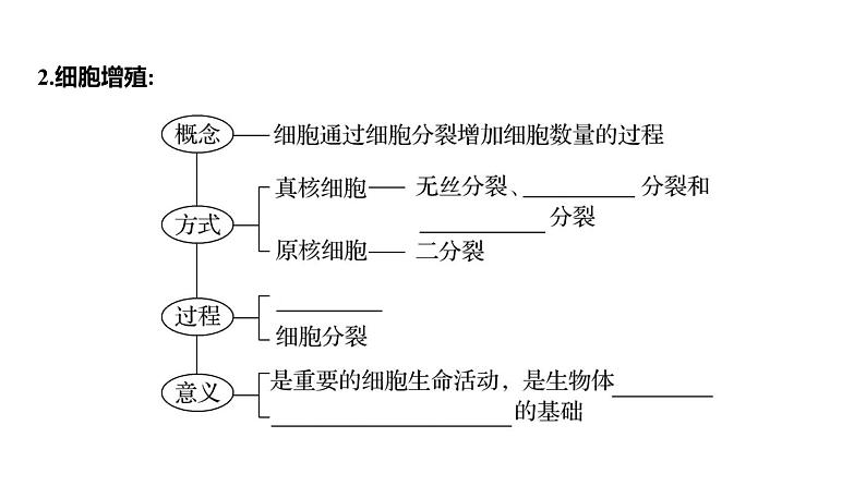 2025届高考 一轮复习 人教版 细胞的增殖 课件(多选版)第5页
