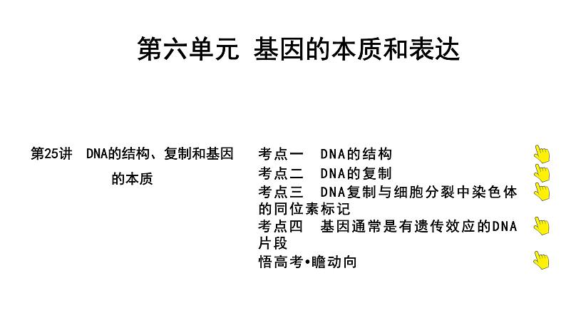 2025届高考 一轮复习 人教版 DNA的结构、复制和基因的本质 课件(多选版)第1页