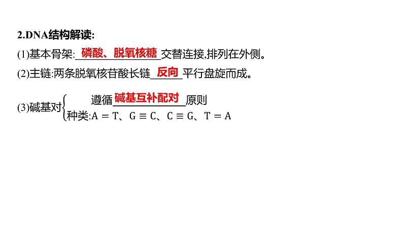 2025届高考 一轮复习 人教版 DNA的结构、复制和基因的本质 课件(多选版)第6页
