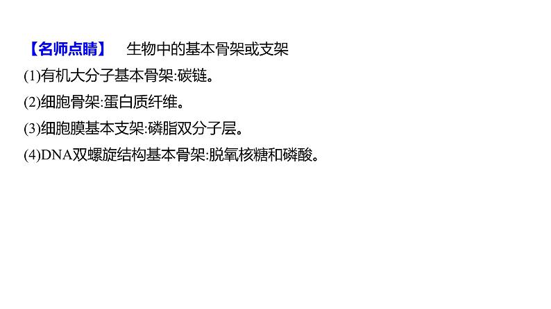 2025届高考 一轮复习 人教版 DNA的结构、复制和基因的本质 课件(多选版)第7页