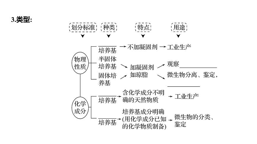 2025屆高考 一輪復(fù)習(xí) 人教版 微生物的培養(yǎng)技術(shù)及應(yīng)用 課件(多選版)第5頁(yè)